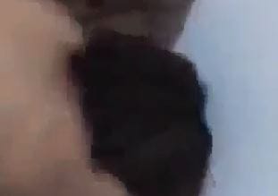 سكس تونسية هايجة برشا تقولو نشيخ كان معاك حبي نيك تونسي