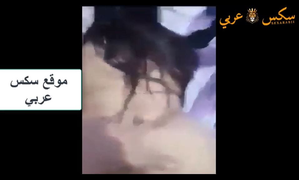 نيك مصري جامد مطلقة هايجة نيك بتتناك من حبيبها وتقله بالراحة ياعرص يامتناك